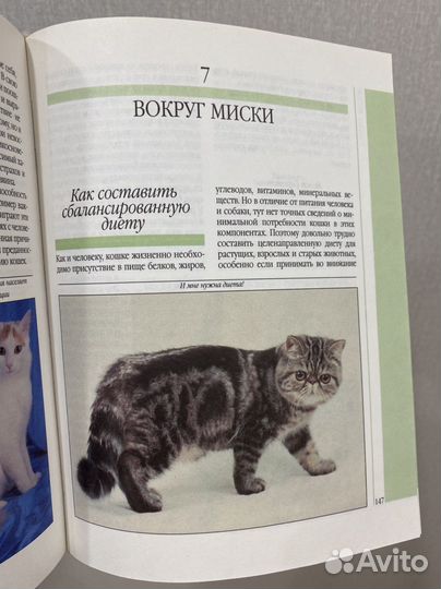 Книга про кошек