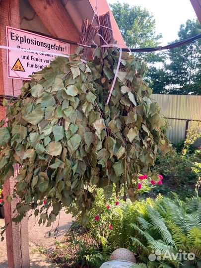 Банные веники