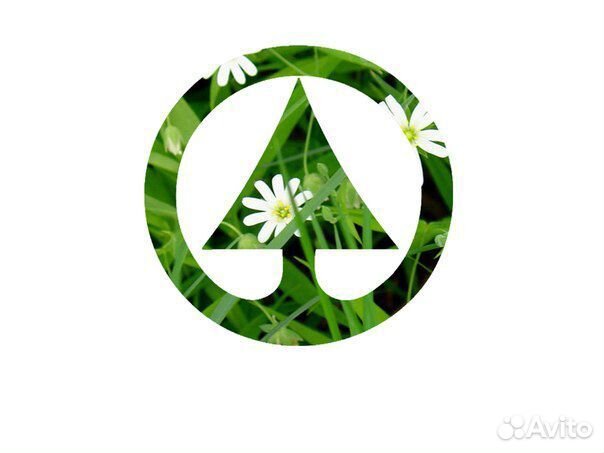 Кассир-продавец