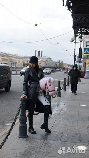 Лошадка на палке, хоббихорс