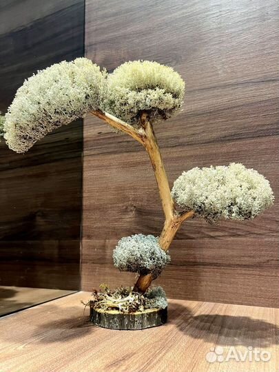 Дерево живое ручная работа