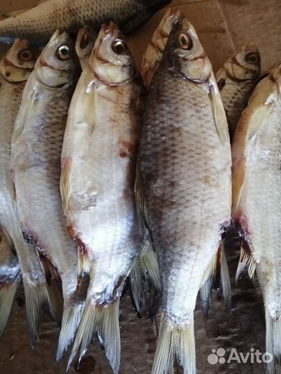 Тарань жирная вяленая