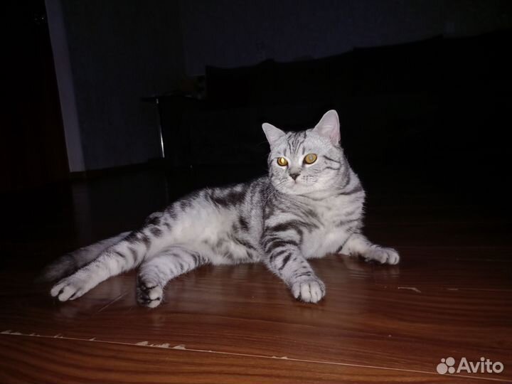 Котик для вязки