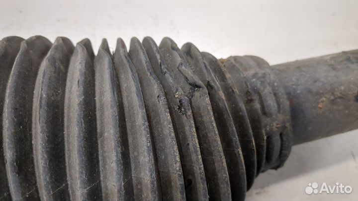 Амортизатор подвески левый задний Audi A8 (D3)