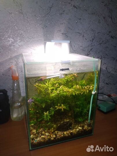 Аквариум