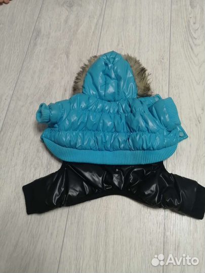 Костюм для собак