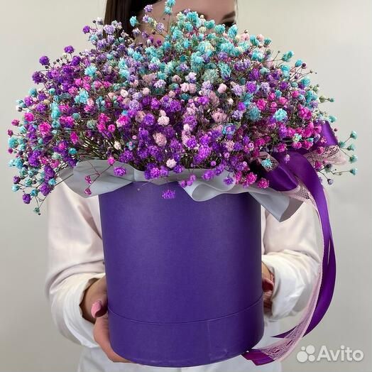 Гипсофила Princess в коробке