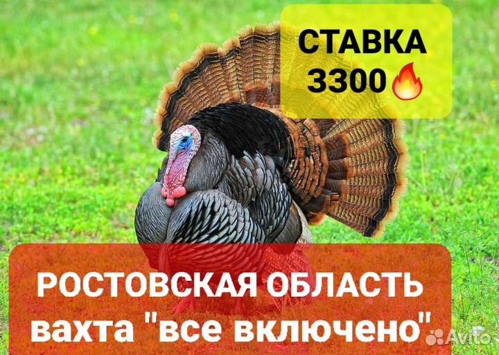 Упаковщик г.Шахты