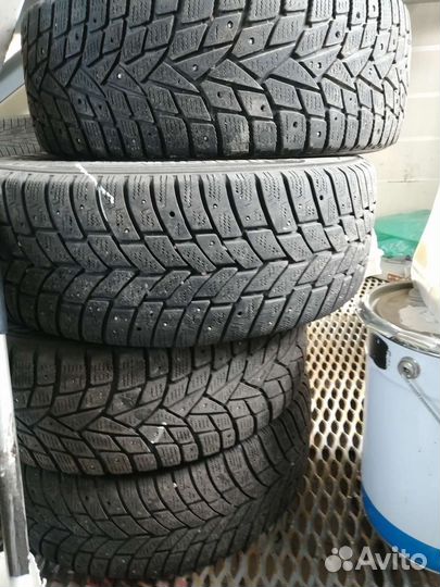 Dunlop Winter Maxx 205/55 R16