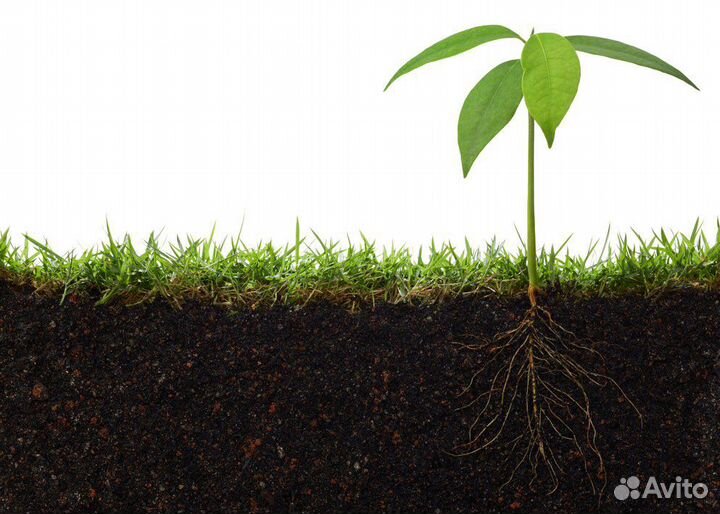 Растительный грунт чистый без корней