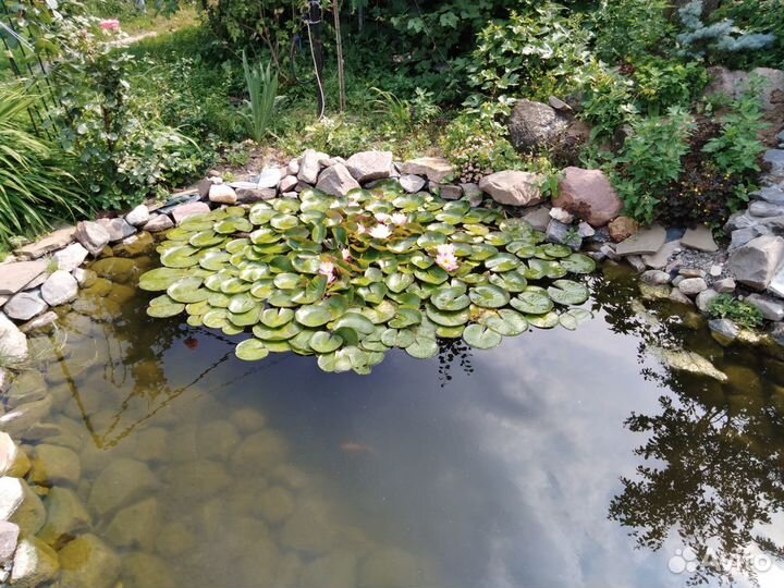 Пленка для прудов, водоемов и бассейнов PVB