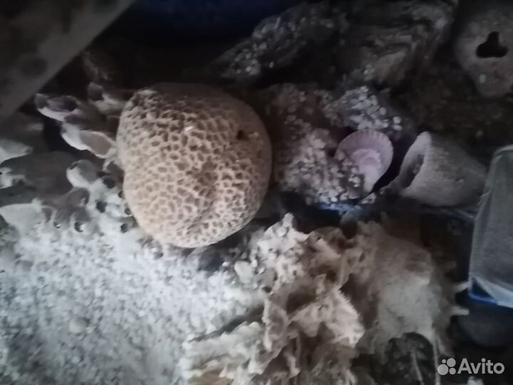 Украшение для аквариума