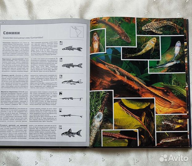 Книги-энциклопедии