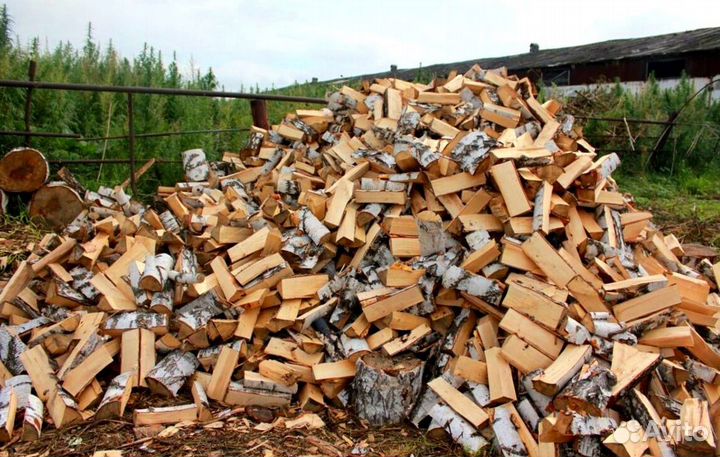 Дрова березовые наколотые