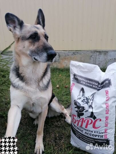 Сухой Корм для собак Барс Каша для собак