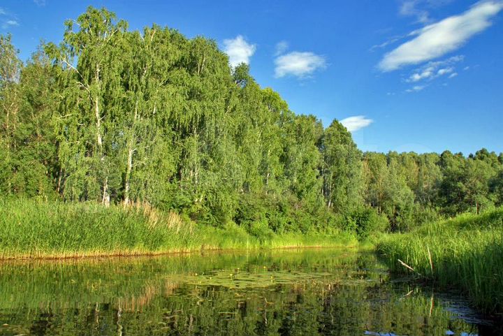 Участок 5,4 га (СНТ, ДНП)