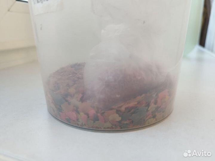 Аквариум с рыбками 50л, еда, компрессор