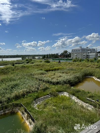 Платная рыбалка на карпа