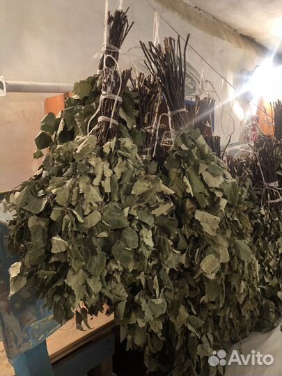 Банный веник, дуб/береза