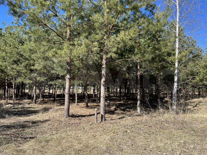 Участок 24 сот. (ИЖС)