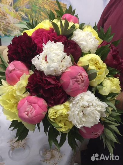 Корни пионов