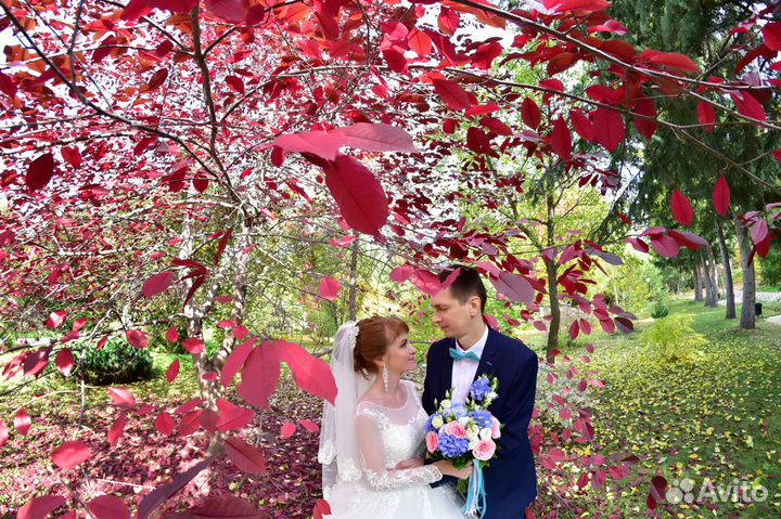 Видеограф Фотограф Видеооператор Аэросъёмка SDE