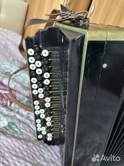 Баян тульский