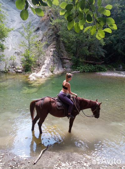 Экскурсии, конные прогулки