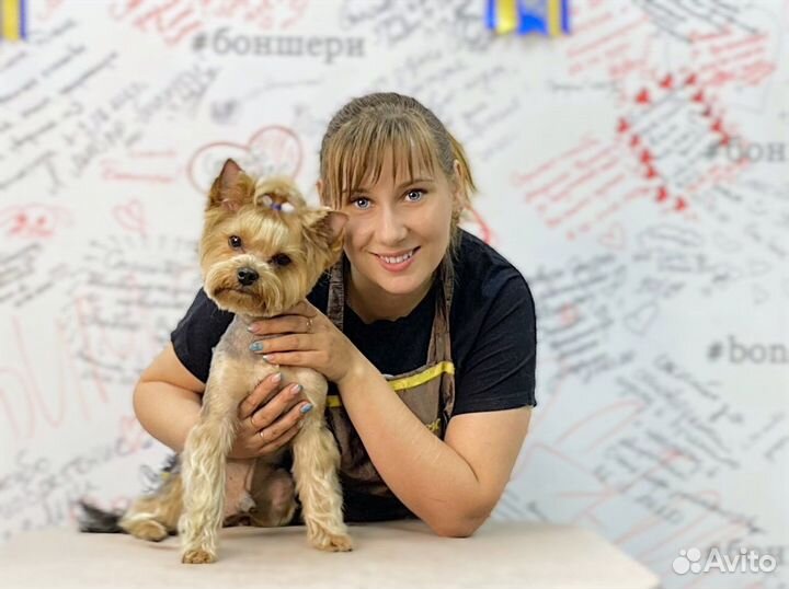 Услуги грумера/стрижка животных