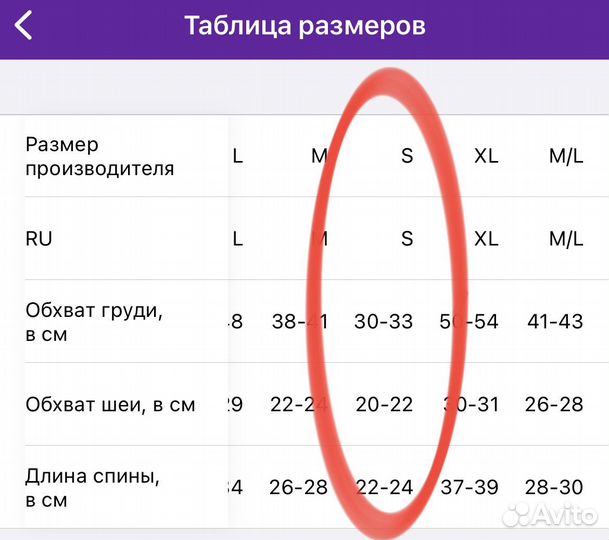 Комбинезон для собаки
