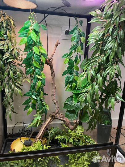 Террариум для хамелеона Exo-Terra 60*45*90