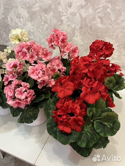 Искусственные растения герань