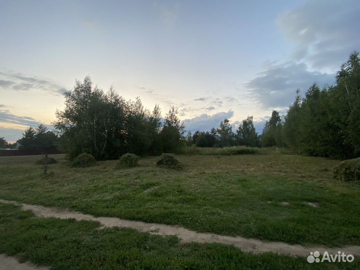 Отдам бесплатно траву