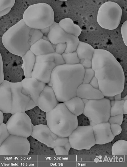 Электронная микроскопия (сэм)