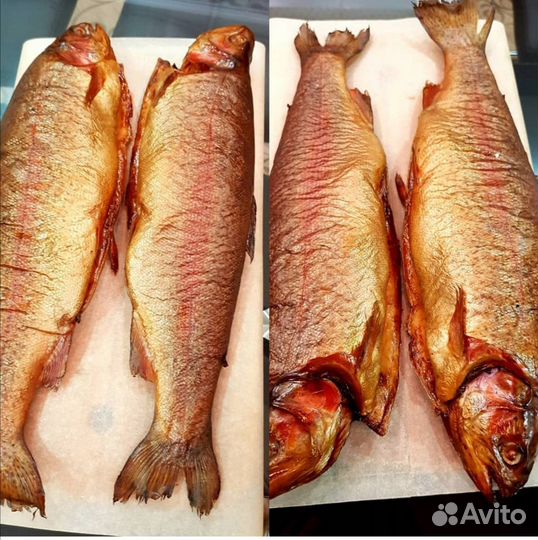 Щепа, Ольха,Яблоня,для копчения