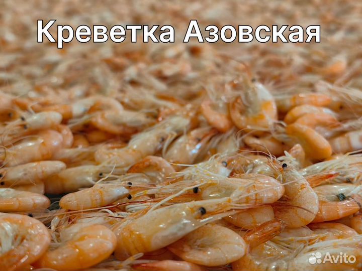 Креветка Азовская оптом и в розницу