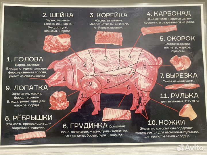 Фото для дизайна