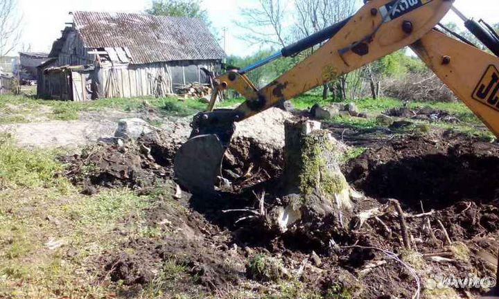 Демонтаж построек.подготовка участка.арборист