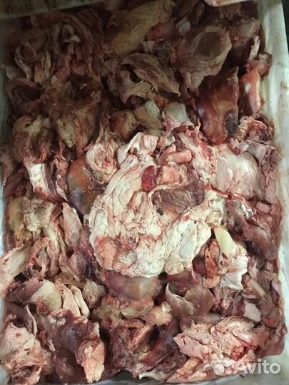 Корм для собак