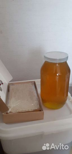 Сотовый мёд