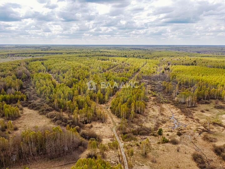 Участок 17,6 сот. (СНТ, ДНП)