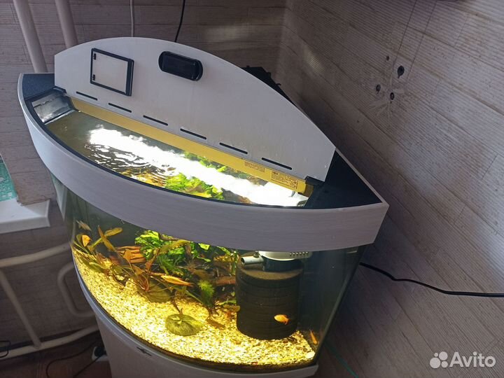 Аквариум Биодизайн