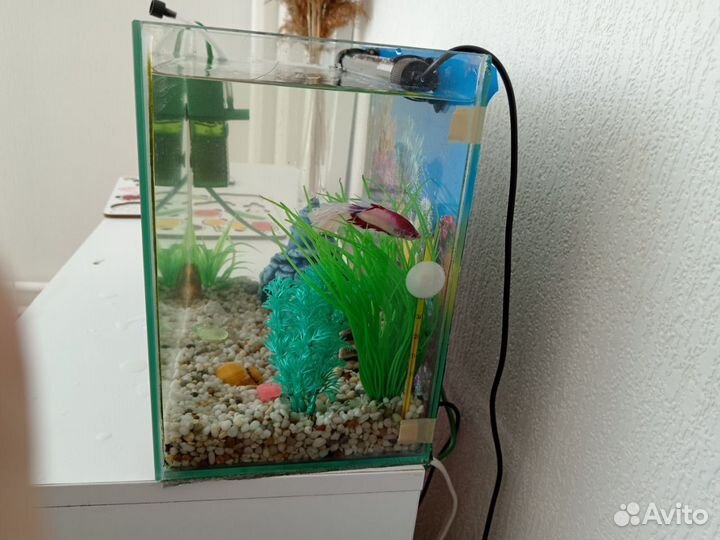 Аквариум