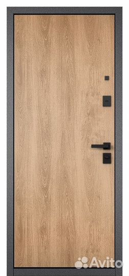 Железная дверь