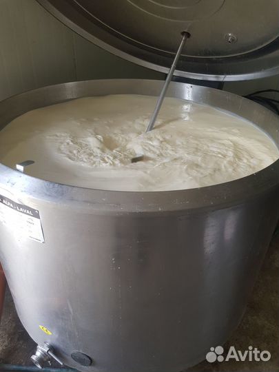 Молоко и продукция от Айрширских коров - доставка