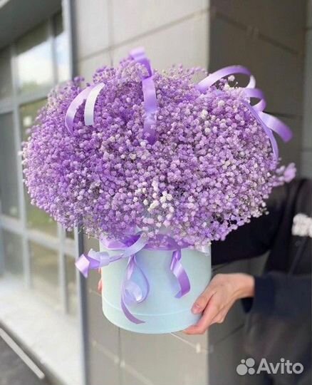 Гипсофила в Коробке Доставка Цветов