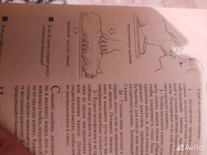 Книга о кошках