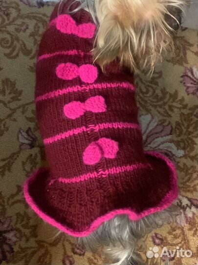 Одежда для маленьких собак