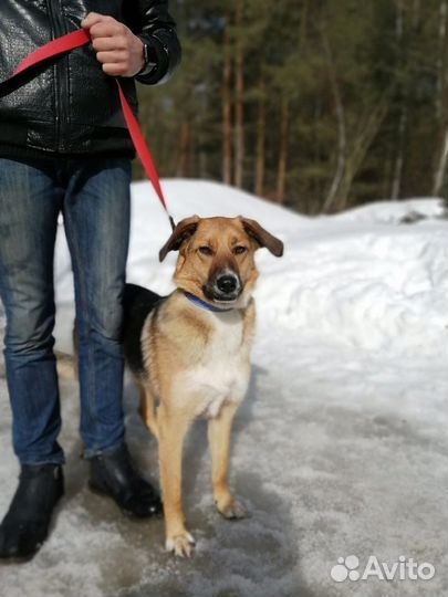 Самара в дар хорошим людям