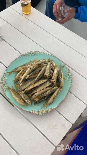 Морские прогулки в Адлере